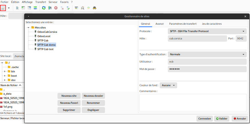 Fichier:Filezilla-connexion.png