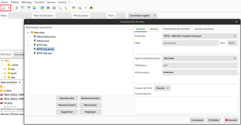 Fichier:Connexion-filezilla.png