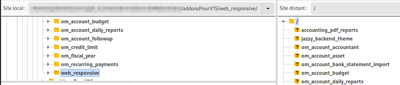 Fichier:Televersement-addon-odoo.png