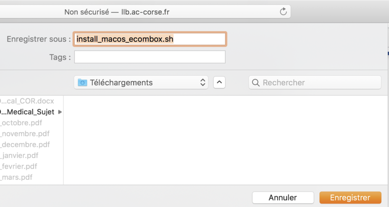 Fichier:SafariSave.png